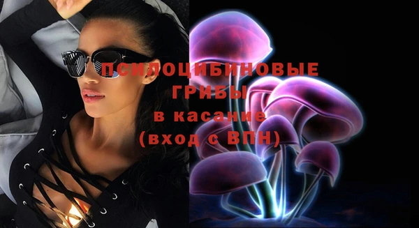 герыч Зерноград