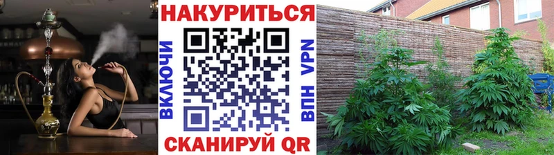 Бошки Шишки Ganja Старая Купавна